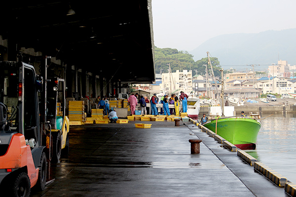 朝の魚市場