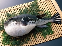 福良3年物 ふぐふぐフェスティバル