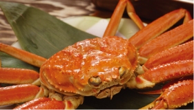 カニカニフェスティバル