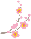 城崎温泉木屋町通りの夜桜見物