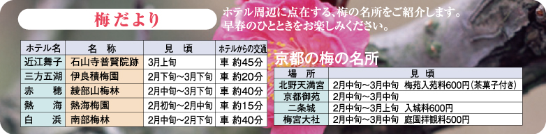 梅だより