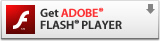 flash DL
