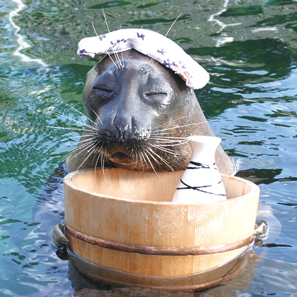 箱根園水族館