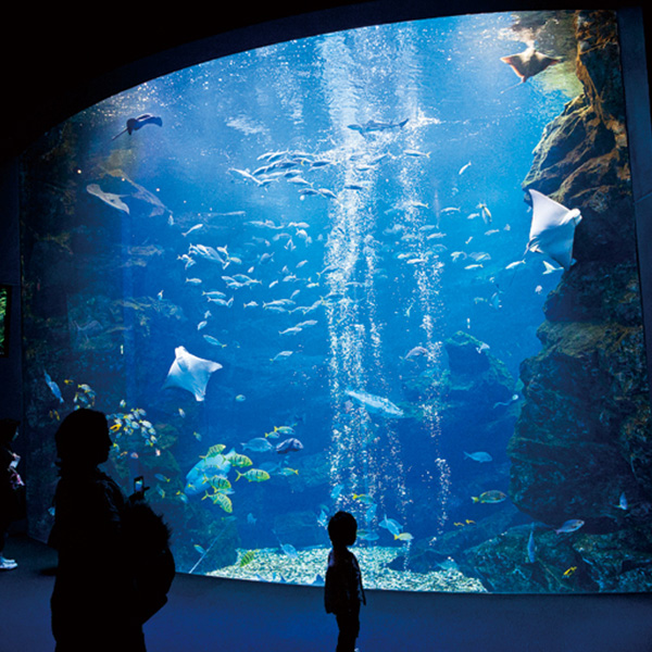 京都水族館