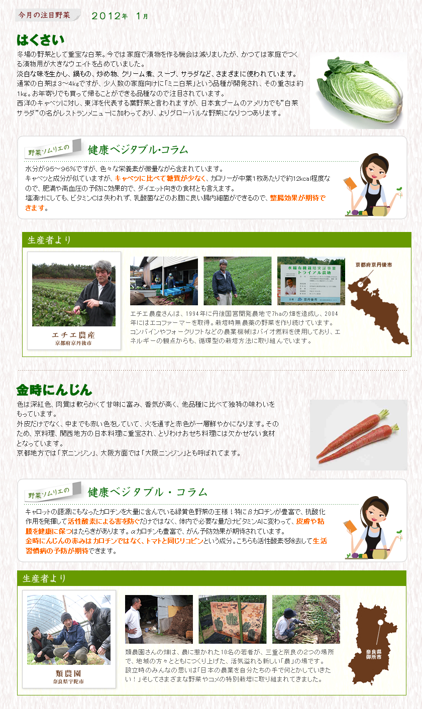 1月の注目野菜