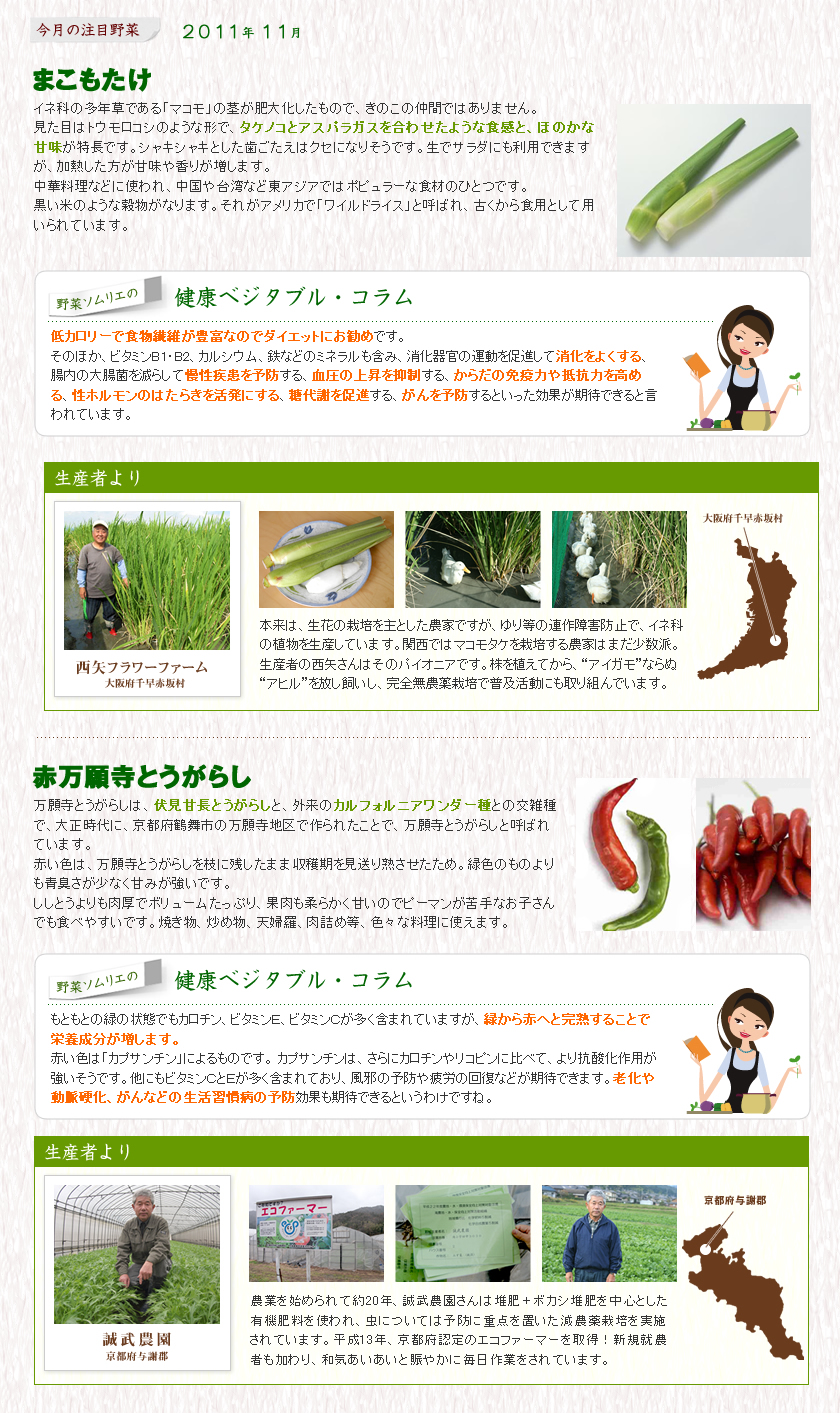 11月の注目野菜