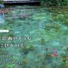 板取川温泉日帰りツアー　7月6日(木)日帰り