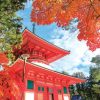 世界遺産・マグロ・未来体験ツアー（2023年11月20日(月)2泊3日）